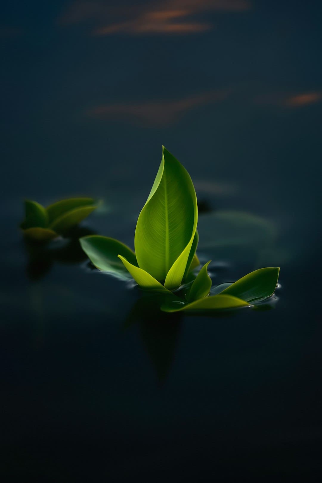 新同学，与“智能原生”同行